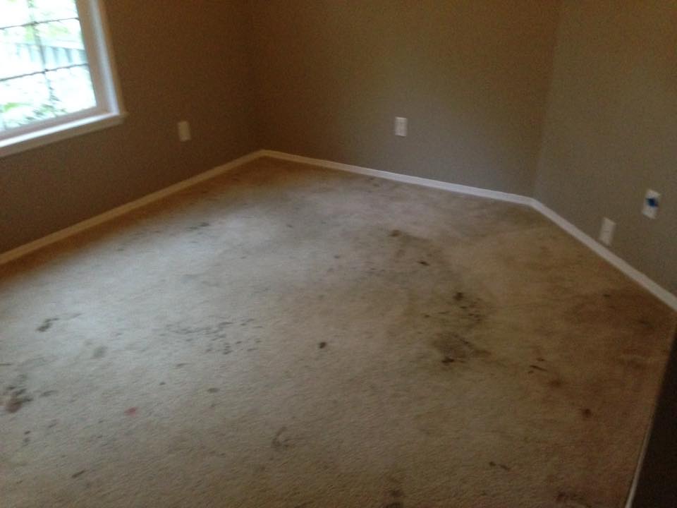 room with dirty carpet